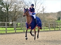 Regional Academy Championships Shine at Parwood Equestrian