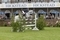 Pint-sized mare gallops to Hickstead win