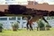 Britain’s jumping squad underway in Spain