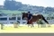 Britain’s jumping squad underway in Spain