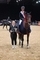 Victory for Holly Smith as national classes conclude at HOYS 2025
