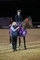 Uncatchable Sammie-Jo Coffin crowned Speed Horse of the Year