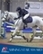 Ruby Couzens from Bedfordshire is the latest British Showjumping Shining Star