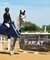 Cozzy Soncini and High Offley Ferandee Secure Ariat British Novice Championship Final Ticket at Onley Grounds 