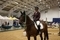 Holly Smith Takes UNIBED Winter Grades B&C Qualifier at Aintree