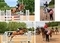 NAF Silver and Bronze League Qualifiers Thrill at Pickering Grange and Bogenraith
