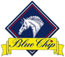 Blue Chip Feed Ltd