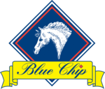 Blue Chip Feed Ltd