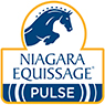 Niagara Equissage Pulse